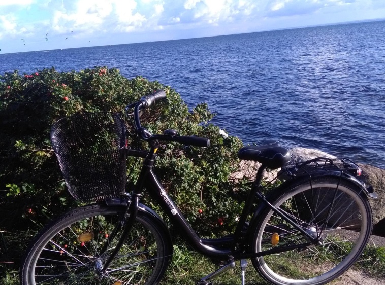 Władysławowo Wypożyczalnia rower&oacute;w Ottobike  