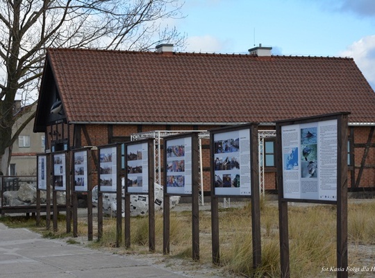 Dom Morświna